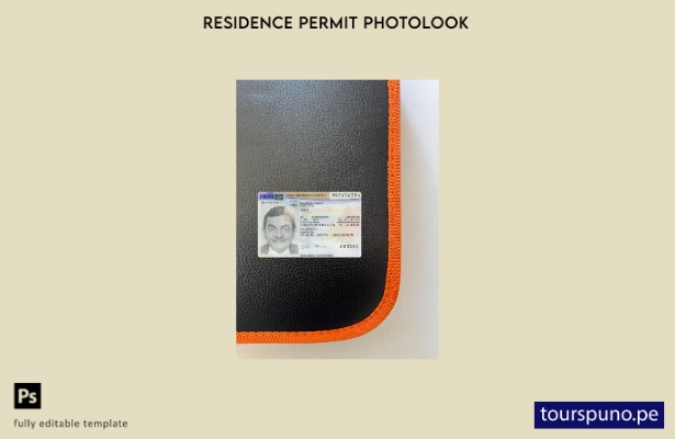 listo para imprimir plantilla frontal de aspecto fotográfico del permiso de re 1